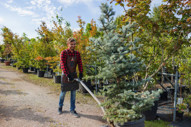 Best Leaf Removal  in Lden, MA